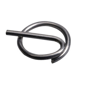 (10) Borg clip